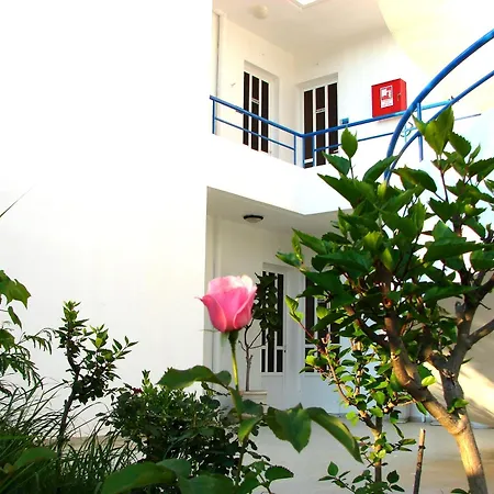 Flame Lily & ファリラキ