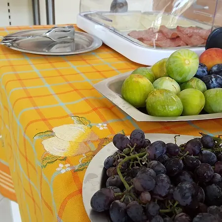 Flame Lily & ホテル ファリラキ