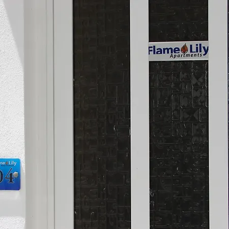 Flame Lily &