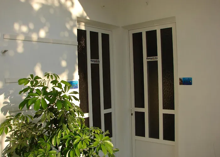 Flame Lily & 法里拉基