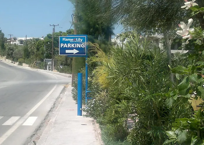 酒店 Flame Lily & 3*