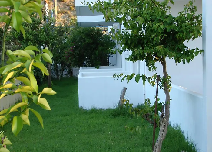 酒店 Flame Lily & 3*