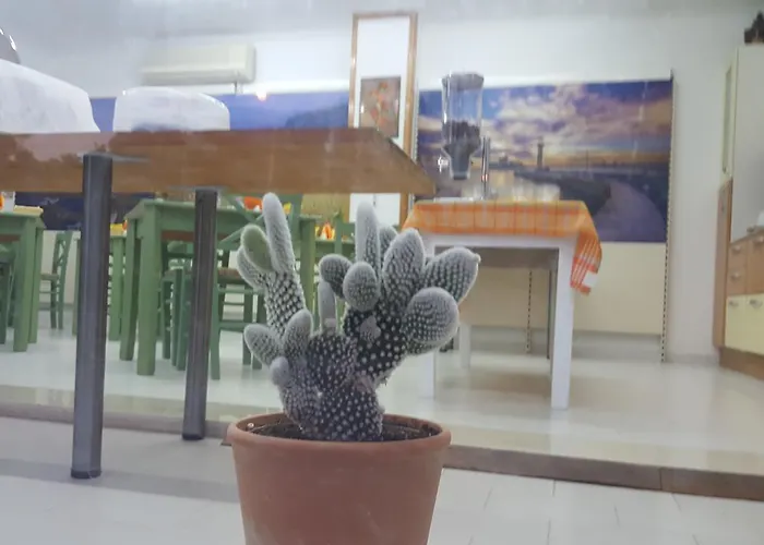 Flame Lily & 法里拉基