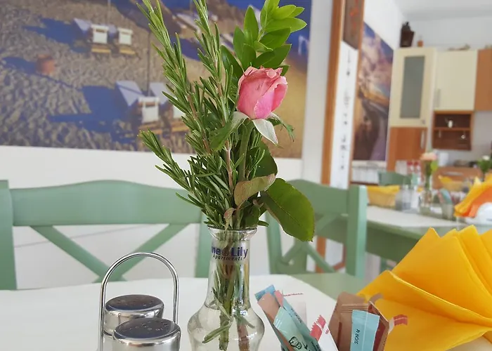 Flame Lily & 3* 法里拉基