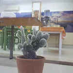 Flame Lily & Faliraki