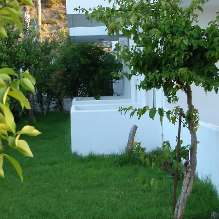 Hotel Flame Lily & 3*