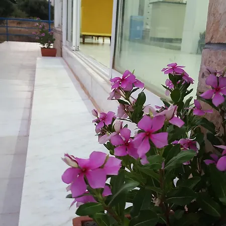 Flame Lily & Hotel Faliraki