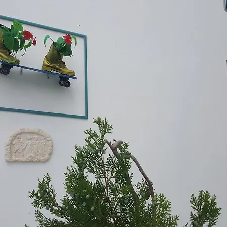 Hotel Flame Lily & 3*