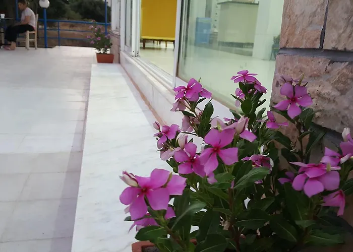 Flame Lily & Hotel Faliraki