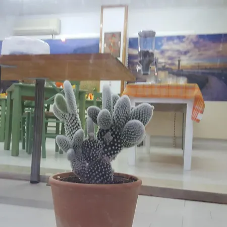 Flame Lily & ファリラキ