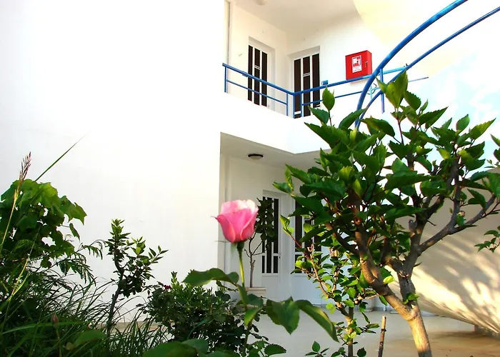 Flame Lily & Faliraki